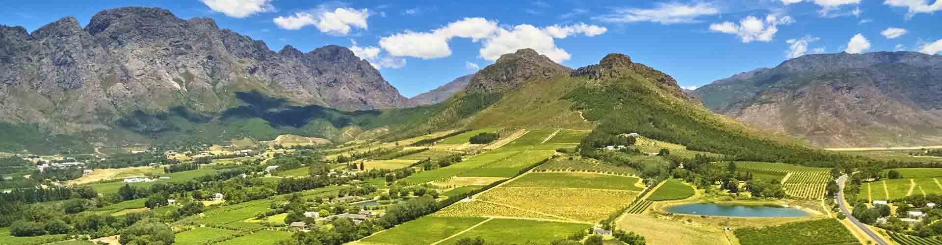 ah top-banner-03 cape wionelands